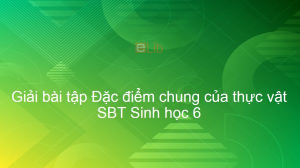 Giải SBT Sinh 6 Bài 3: Đặc điểm chung của thực vật