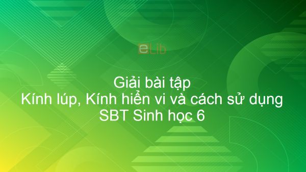 Giải SBT Sinh 6 Bài 5: Kính lúp, Kính hiển vi và cách sử dụng