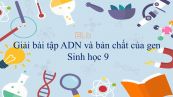 Giải bài tập SGK Sinh học 9 Bài 16: ADN và bản chất của gen