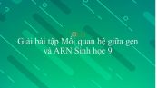 Giải bài tập SGK Sinh học 9 Bài 17: Mối quan hệ giữa gen và ARN
