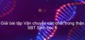Giải SBT Sinh 6 Bài 17: Vận chuyển các chất trong thân