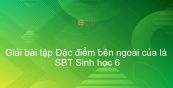 Giải SBT Sinh 6 Bài 19: Đặc điểm bên ngoài của lá