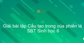 Giải SBT Sinh 6 Bài 20: Cấu tạo trong của phiến lá