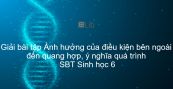 Giải SBT Sinh 6 Bài 22: Ảnh hưởng của điều kiện bên ngoài đến quang hợp, ý nghĩa quá trình