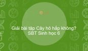 Giải SBT Sinh 6 Bài 23: Cây hô hấp không?