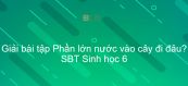 Giải SBT Sinh 6 Bài 24: Phần lớn nước vào cây đi đâu?