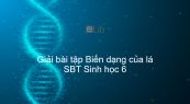Giải SBT Sinh 6 Bài 25: Biến dạng của lá