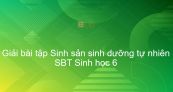 Giải SBT Sinh 6 Bài 26: Sinh sản sinh dưỡng tự nhiên