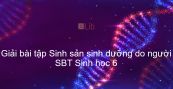 Giải SBT Sinh 6 Bài 27: Sinh sản sinh dưỡng do người