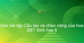 Giải SBT Sinh 6 Bài 28: Cấu tạo và chức năng của hoa