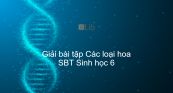 Giải SBT Sinh 6 Bài 29: Các loại hoa
