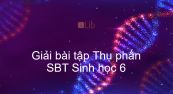 Giải SBT Sinh 6 Bài 30: Thụ phấn