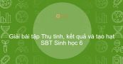 Giải SBT Sinh 6 Bài 31: Thụ tinh, kết quả và tạo hạt