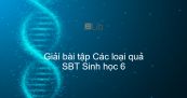 Giải SBT Sinh 6 Bài 32: Các loại quả