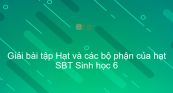 Giải SBT Sinh 6 Bài 33: Hạt và các bộ phận của hạt