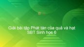 Giải SBT Sinh 6 Bài 34: Phát tán của quả và hạt