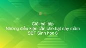 Giải SBT Sinh 6 Bài 35: Những điều kiện cần cho hạt nảy mầm