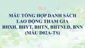 Tổng hợp danh sách lao động tham gia BHXH