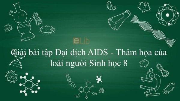 Giải bài tập SGK Sinh học 8 Bài 65: Đại dịch AIDS - Thảm họa của loài người