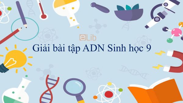 Giải bài tập SGK Sinh học 9 Bài 15: ADN