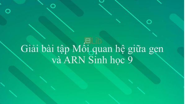 Giải bài tập SGK Sinh học 9 Bài 17: Mối quan hệ giữa gen và ARN