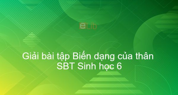 Giải SBT Sinh 6 Bài 18: Biến dạng của thân