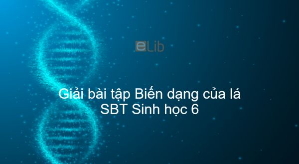 Giải SBT Sinh 6 Bài 25: Biến dạng của lá