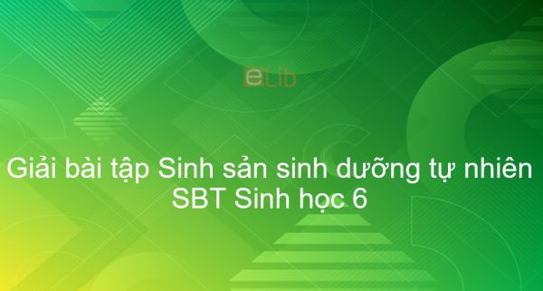 Giải SBT Sinh 6 Bài 26: Sinh sản sinh dưỡng tự nhiên