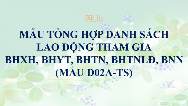 Mẫu D02a-TS: Tổng hợp danh sách lao động tham gia BHXH, BHYT, BHTN, BHTNLĐ, BNN