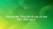Giải SBT Sinh 6 Bài 36: Tổng kết về cây có hoa