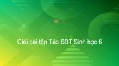 Giải SBT Sinh 6 Bài 37: Tảo