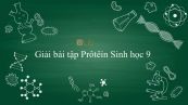 Giải bài tập SGK Sinh học 9 Bài 18: Prôtêin