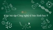 Giải bài tập SGK Sinh học 9 Bài 31: Công nghệ tế bào