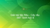 Giải SBT Sinh 6 Bài 38: Rêu - Cây rêu
