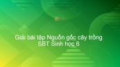 Giải SBT Sinh 6 Bài 45: Nguồn gốc cây trồng