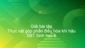 Giải SBT Sinh 6 Bài 46: Thực vật góp phần điều hòa khí hậu