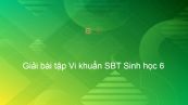 Giải SBT Sinh 6 Bài 50: Vi khuẩn