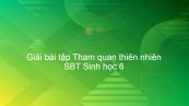 Giải SBT Sinh 6 Bài 53: Tham quan thiên nhiên
