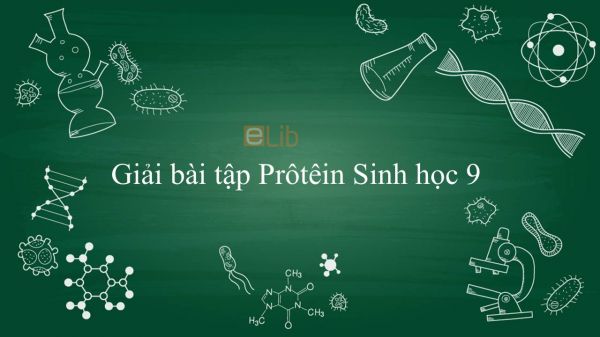 Giải bài tập SGK Sinh học 9 Bài 18: Prôtêin