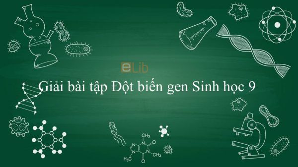 Giải bài tập SGK Sinh học 9 Bài 21: Đột biến gen