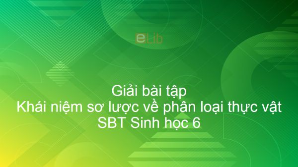 Giải SBT Sinh 6 Bài 43: Khái niệm sơ lược về phân loại thực vật