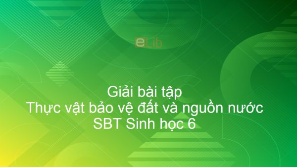 Giải SBT Sinh 6 Bài 47: Thực vật bảo vệ đất và nguồn nước