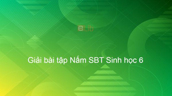 Giải SBT Sinh 6 Bài 51: Nấm