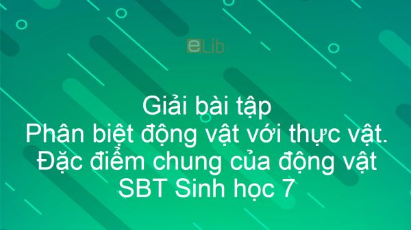 Giải SBT Sinh 7 Bài 2: Phân biệt động vật với thực vật. Đặc điểm chung của động vật