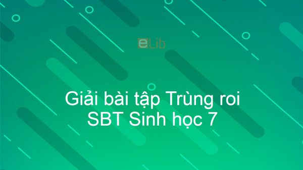 Giải SBT Sinh 7 Bài 4: Trùng roi