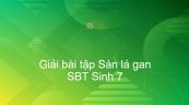 Giải SBT Sinh 7 Bài 11: Sán lá gan