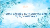 Soạn bài Miêu tả trong văn bản tự sự Ngữ văn 9 tóm tắt