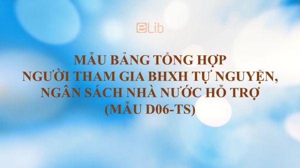 Mẫu D06-TS: Bảng tổng hợp người tham gia BHXH tự nguyện, ngân sách nhà nước hỗ trợ