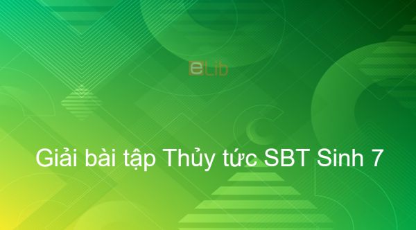 Giải SBT Sinh 7 Bài 8: Thủy tức