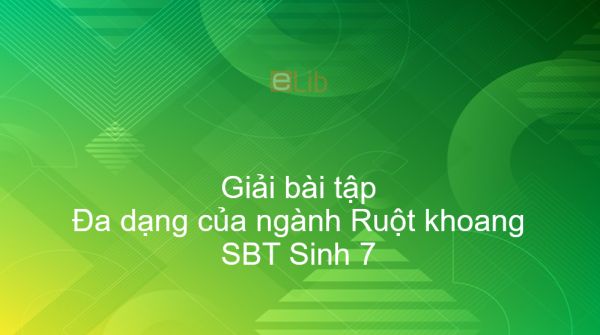 Giải SBT Sinh 7 Bài 9: Đa dạng của ngành Ruột khoang